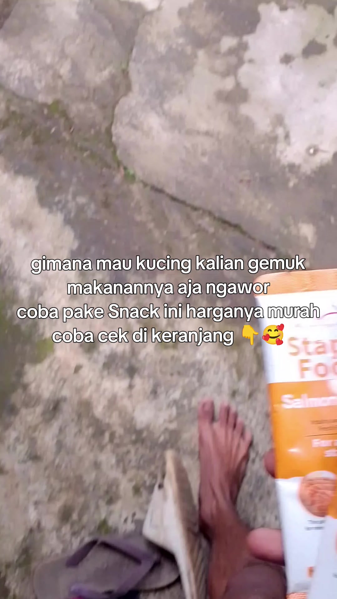 @Catman