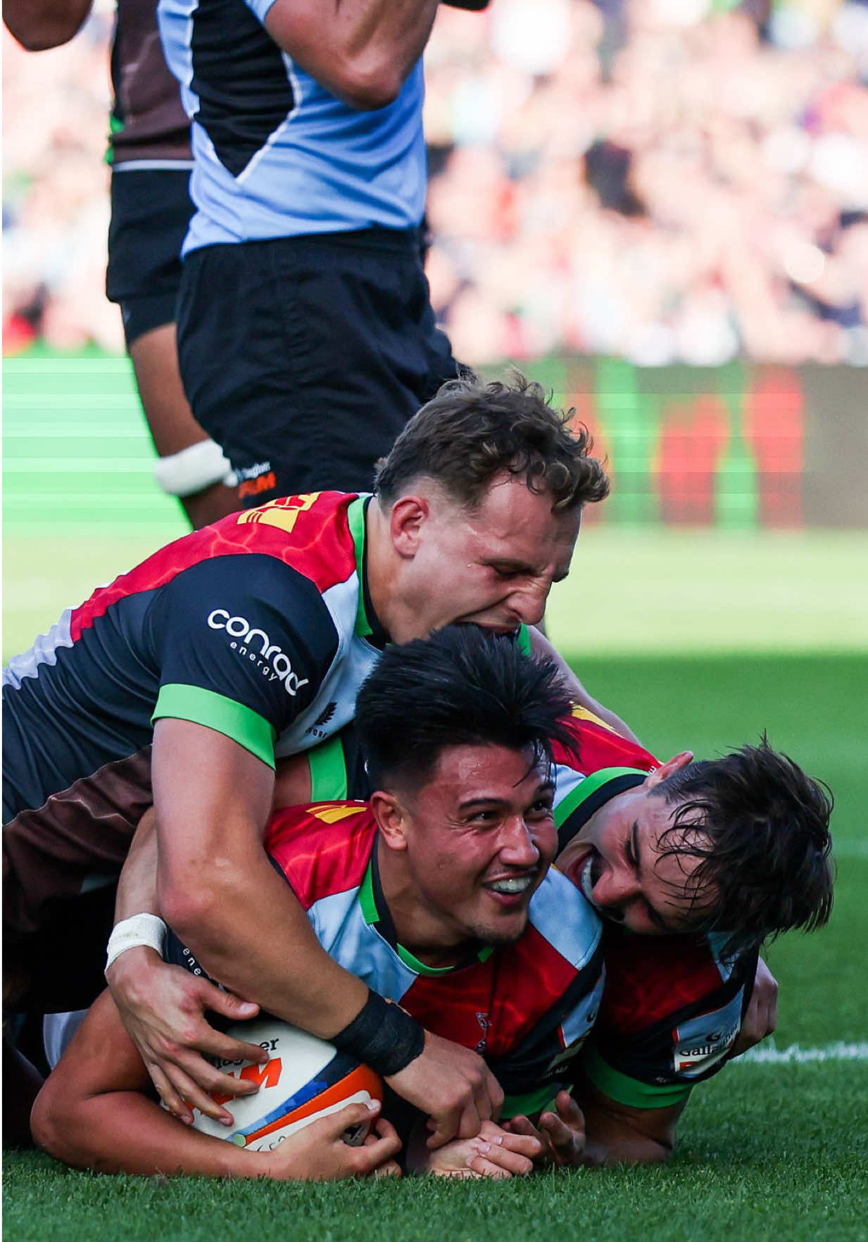 @Harlequins