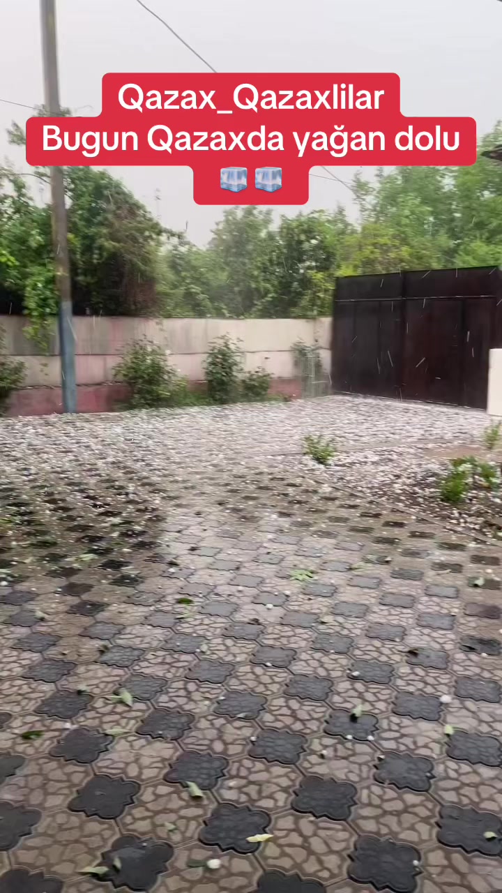 @Qazax və Qazaxlılar