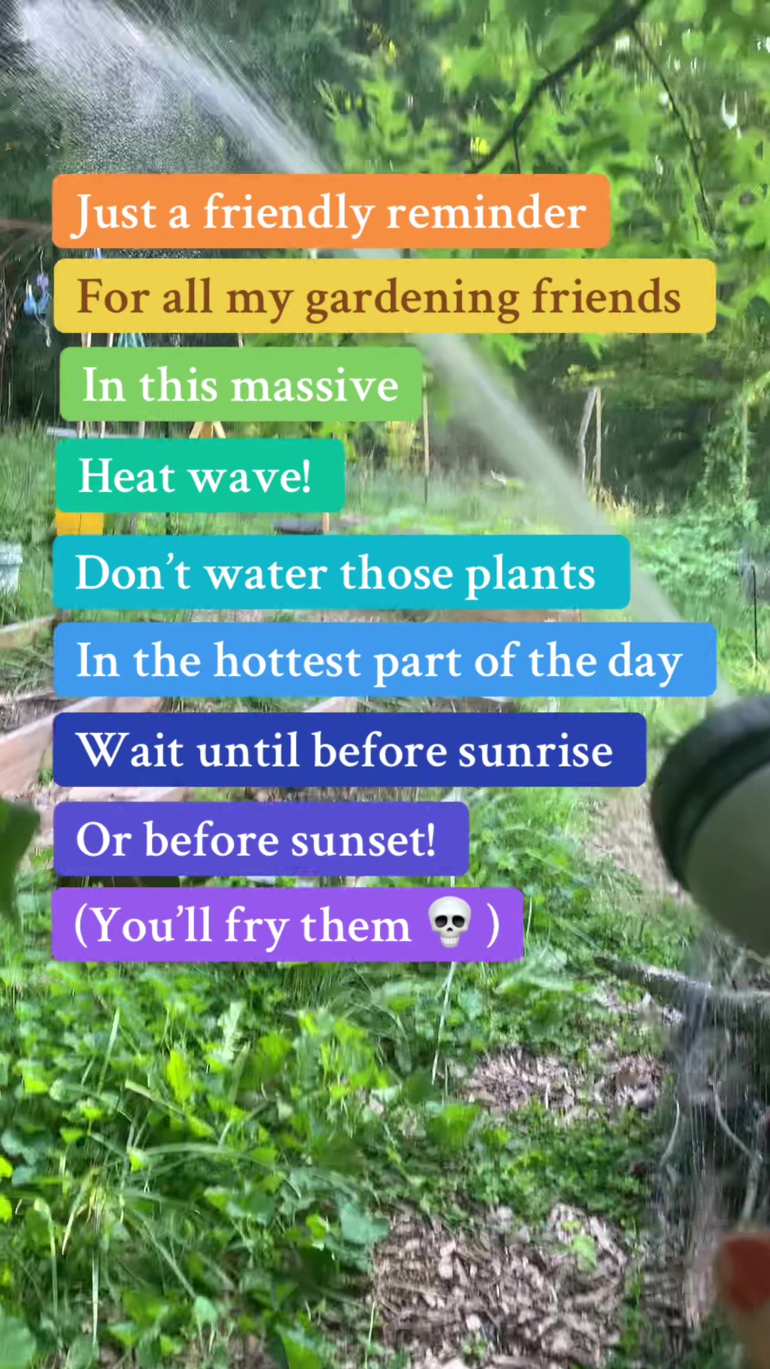@Cultivating Cynthos