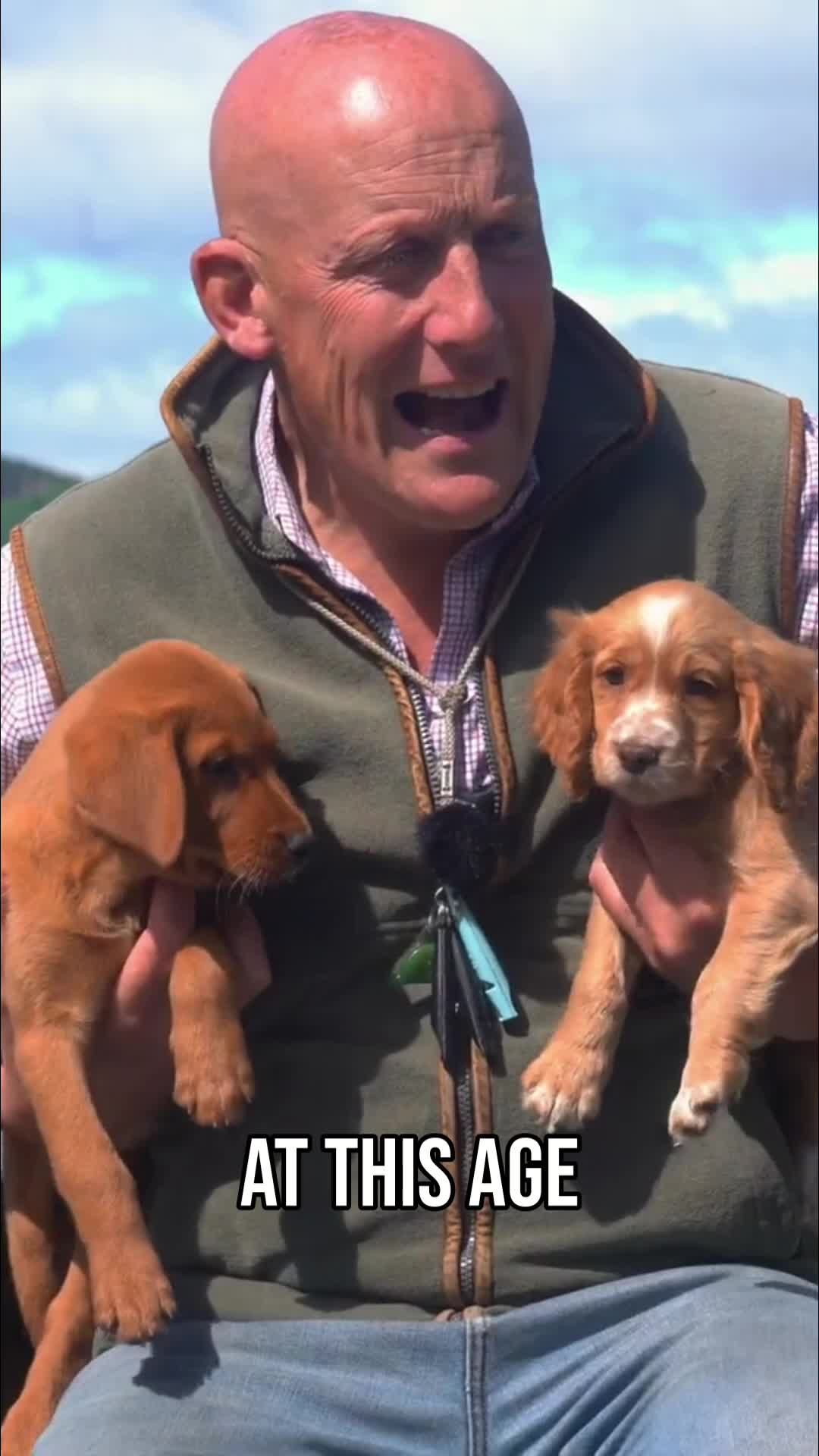 @Mordor Gundogs