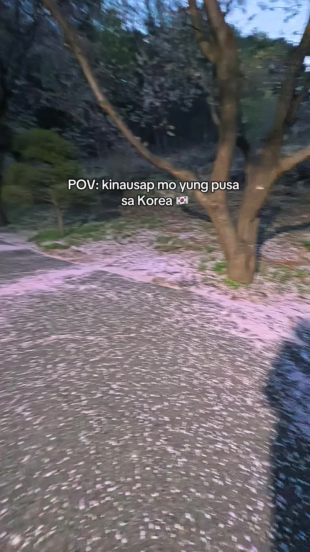 @Fanic