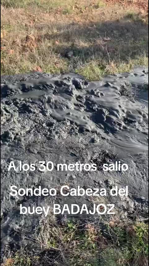 @Zahori Blas Moreno