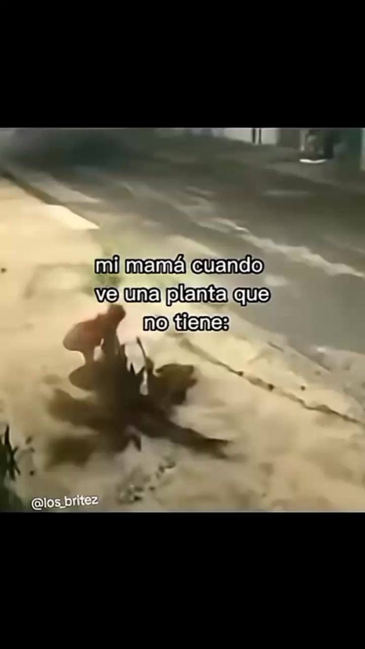 @🫨CHANTI🫨