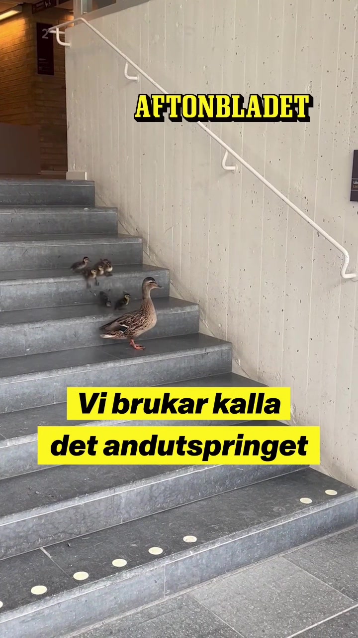 @Aftonbladet