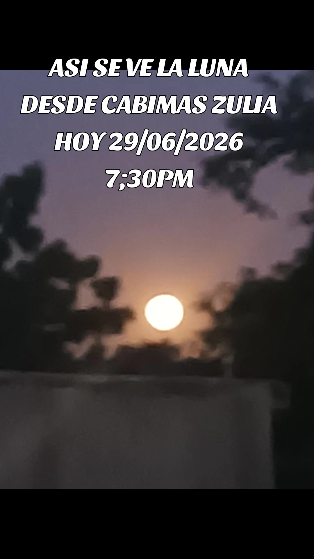 @MIMUNDO1981