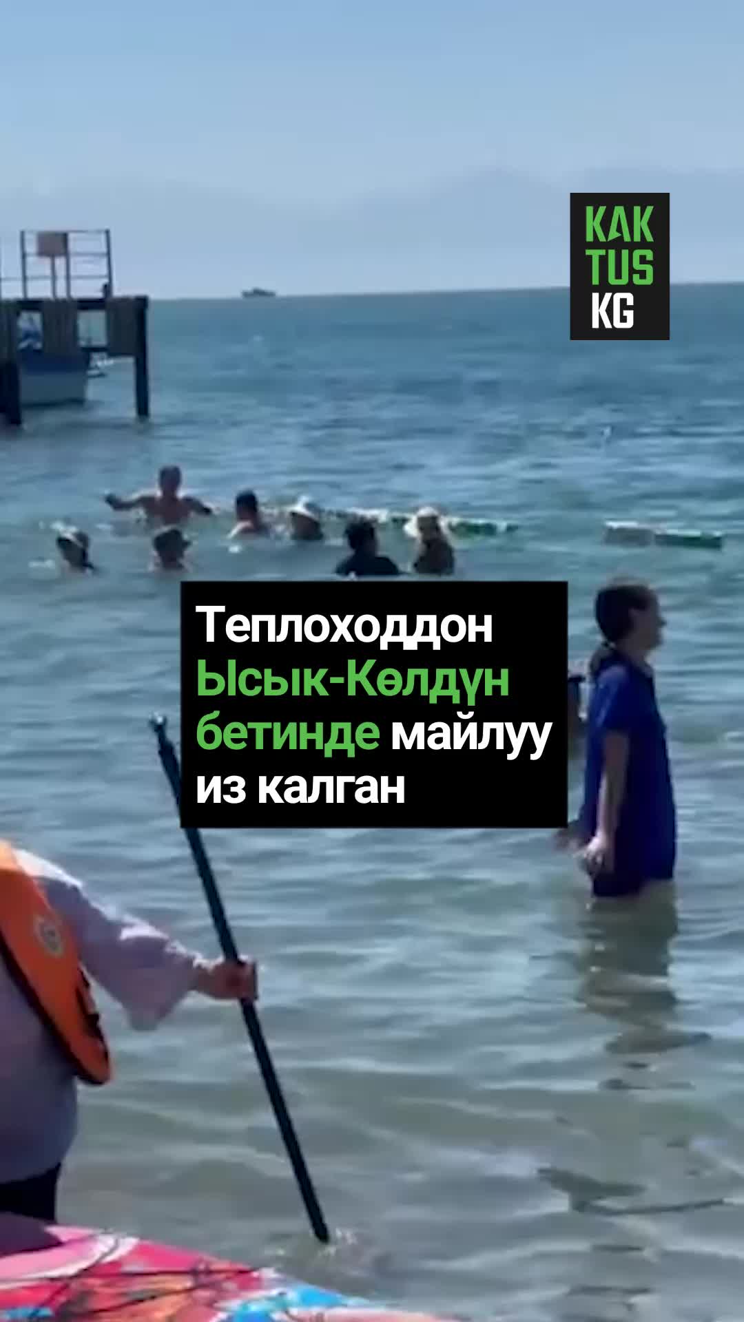 @Kaktus KG