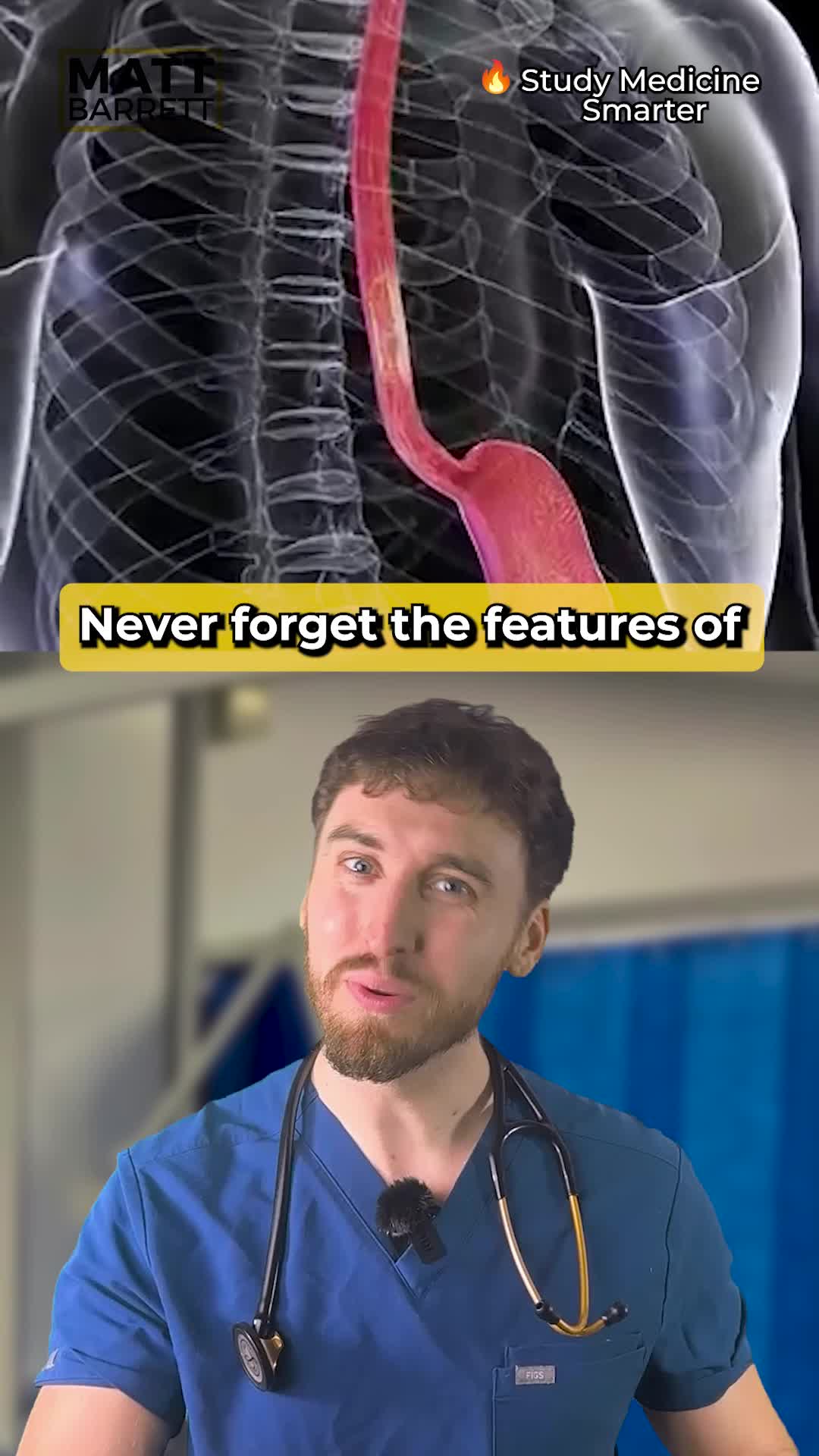 @Dr Matt Barrett