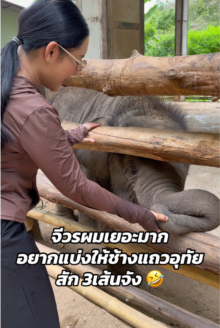 @หญิง ธิติกานต์ Tree Gold BA