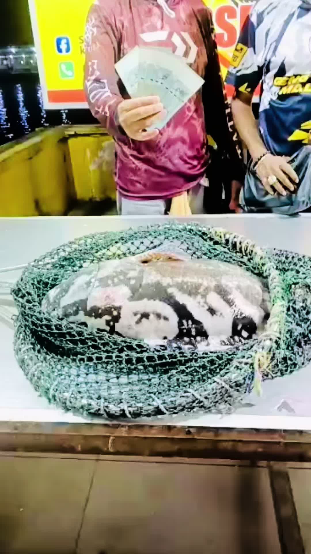 @Shafiq Sealion Fishing Sdn Bhd