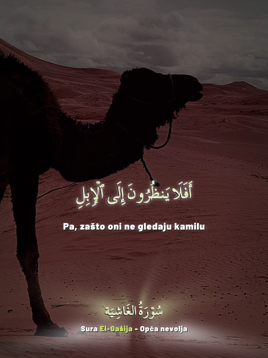 @Islamska Stranica 🇵🇸