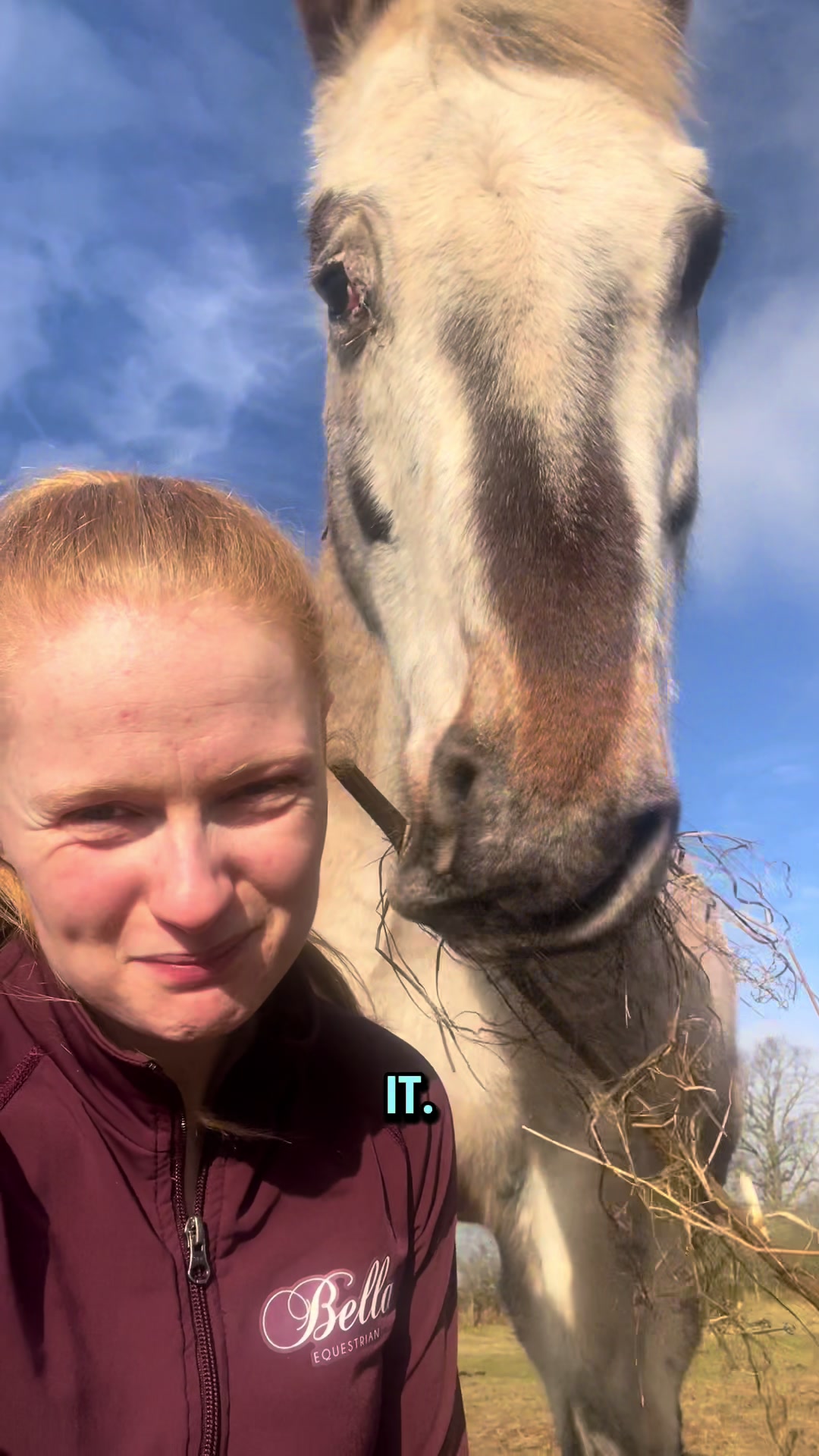 @Equine Nutrition With April