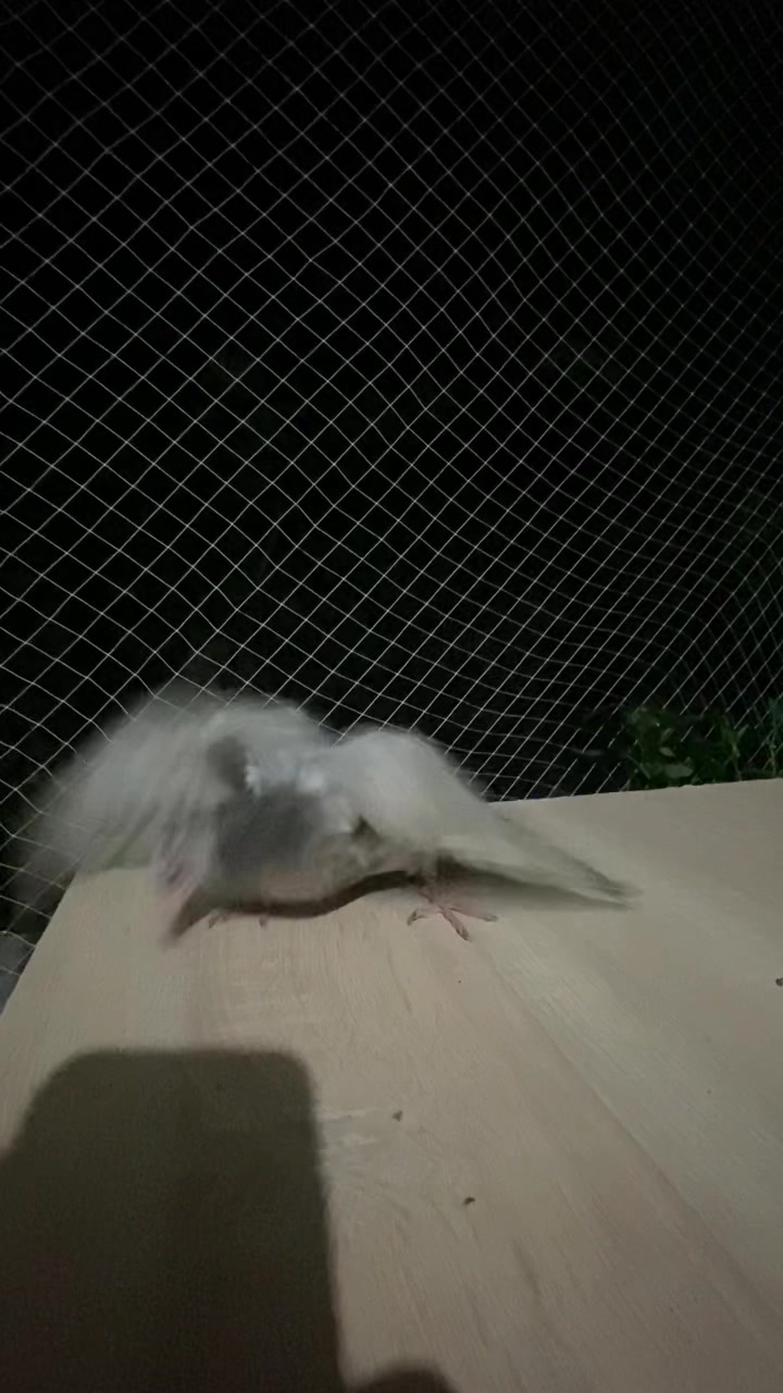 @Miro dolapçıları