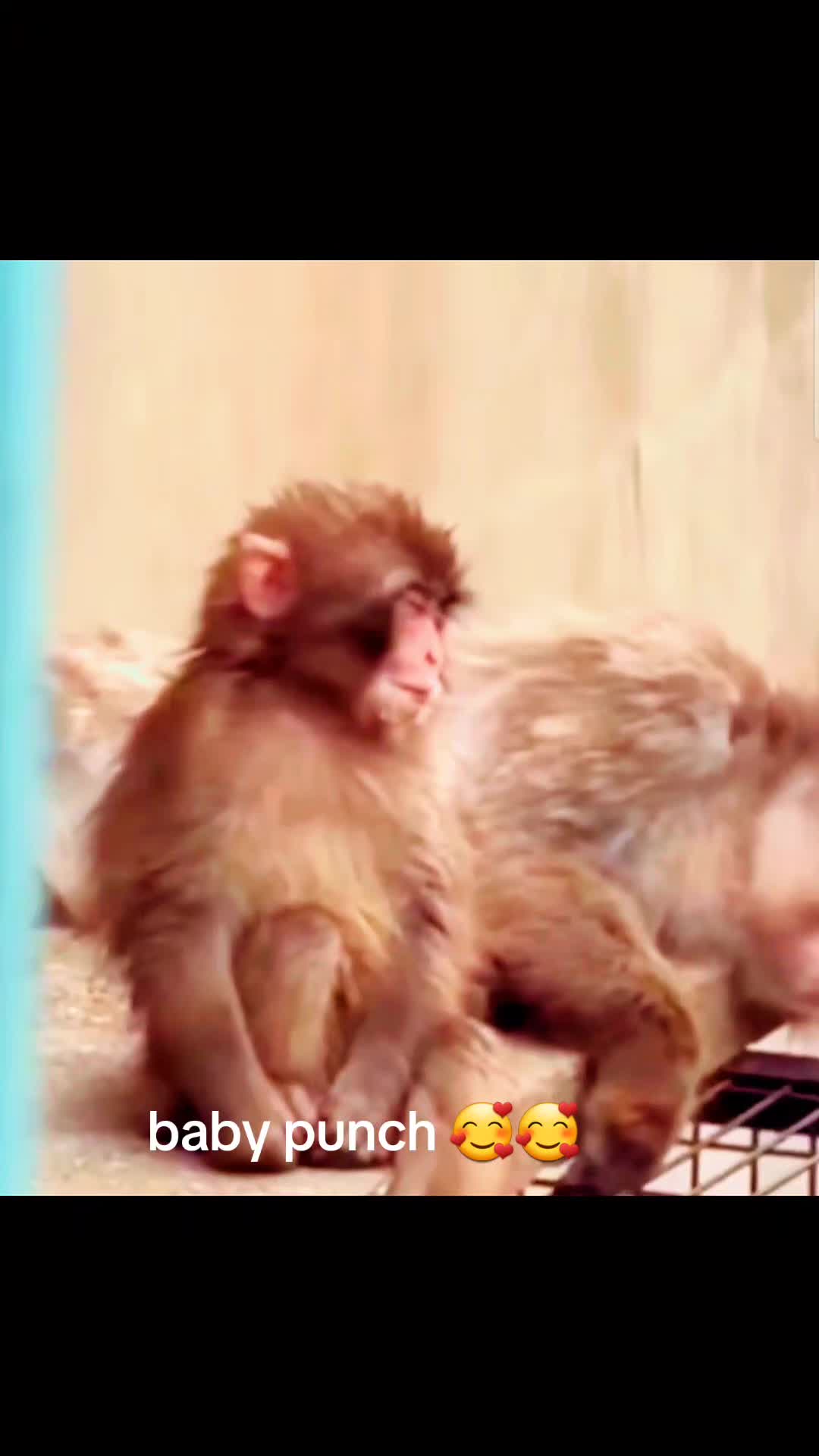 @Punch baby