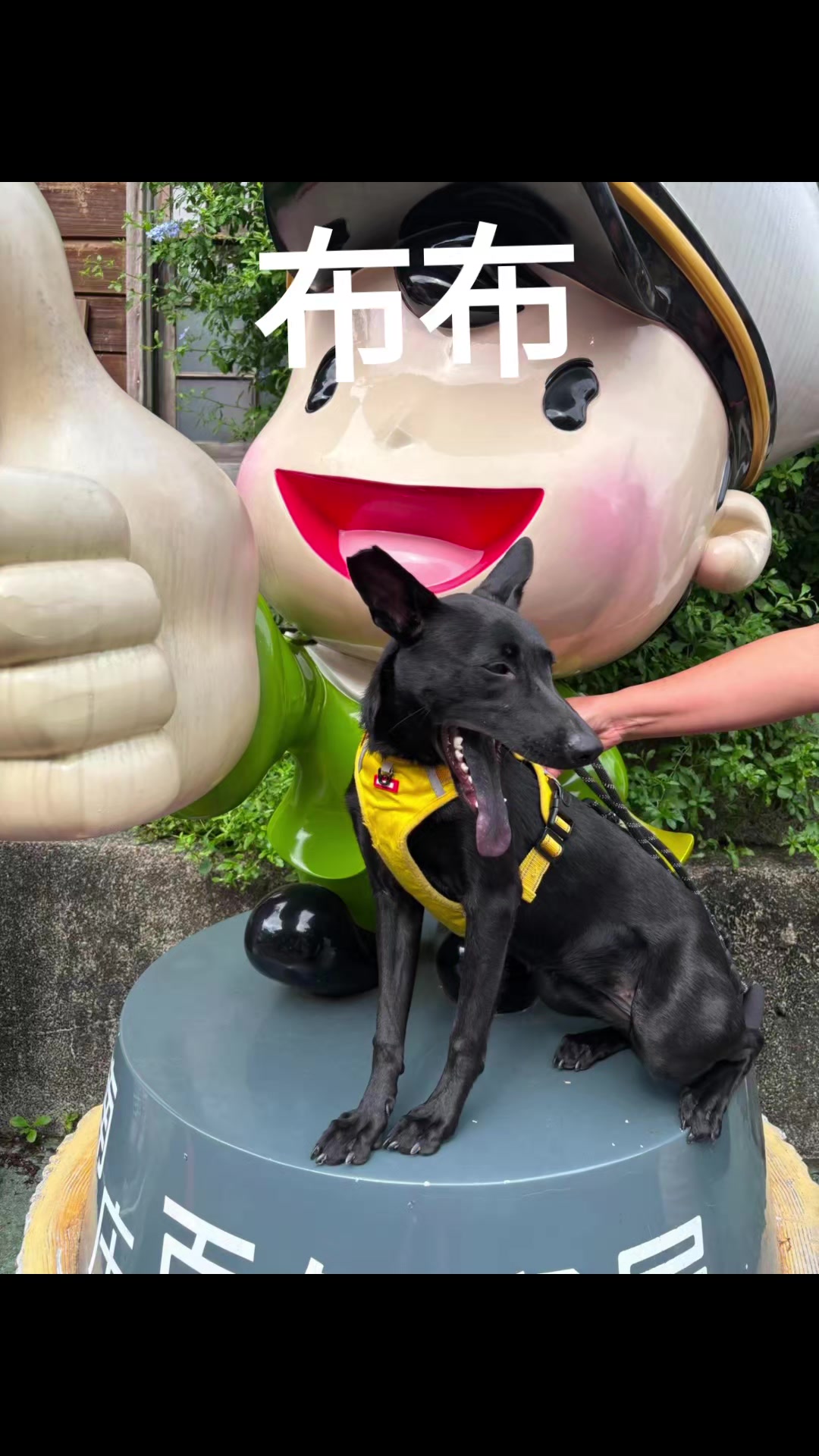 @張漢娟