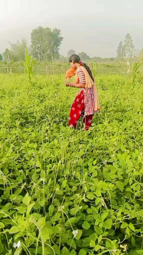 @ashika singh