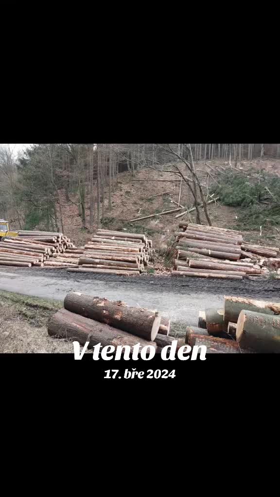 @🌲🌲Prosťě Fidla🤷♂️🤷♂️🌲🌲