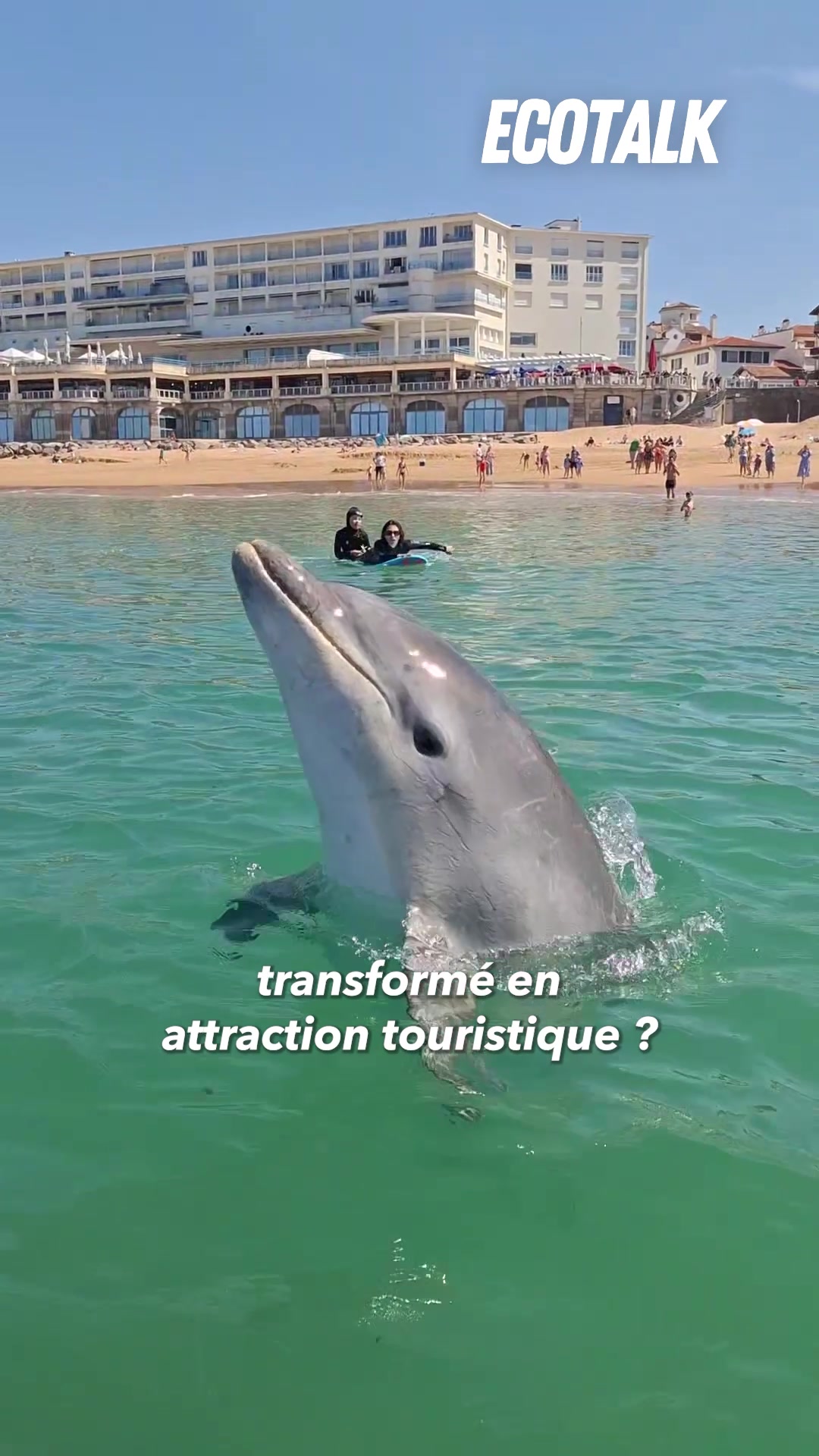 @Ecotalk