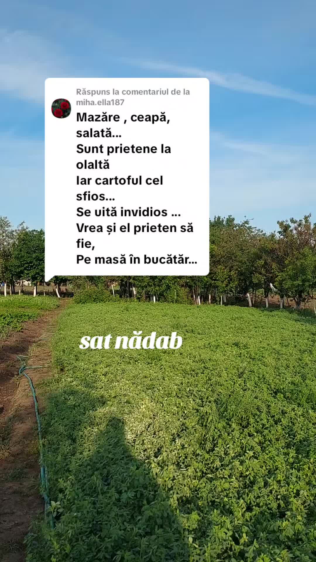 @Ioan Onita