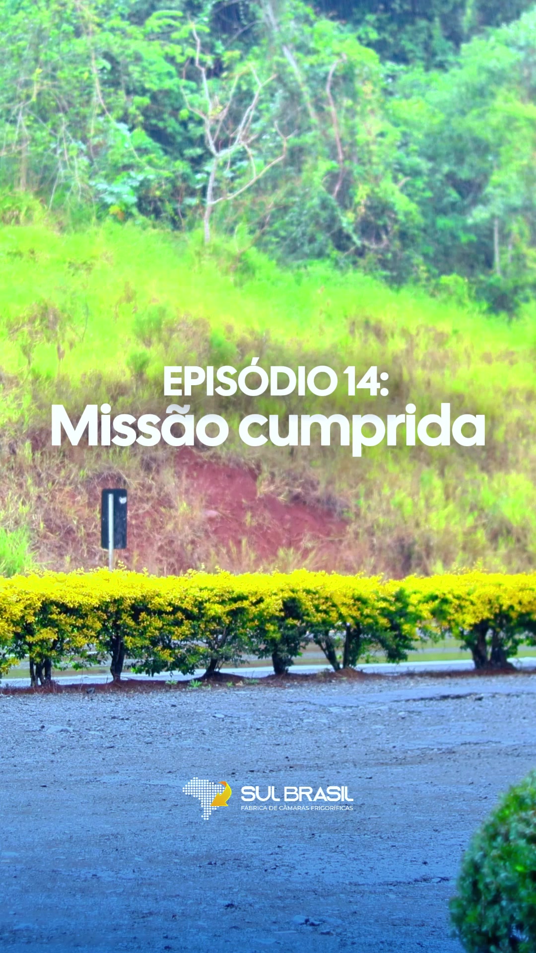 @Taz Cordeiro