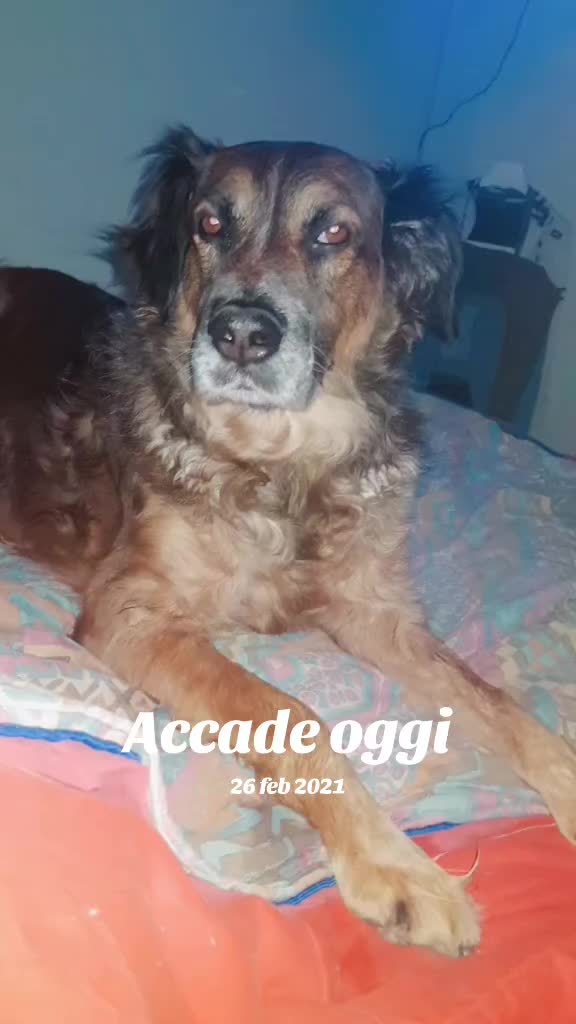 @Mikela Di Maio