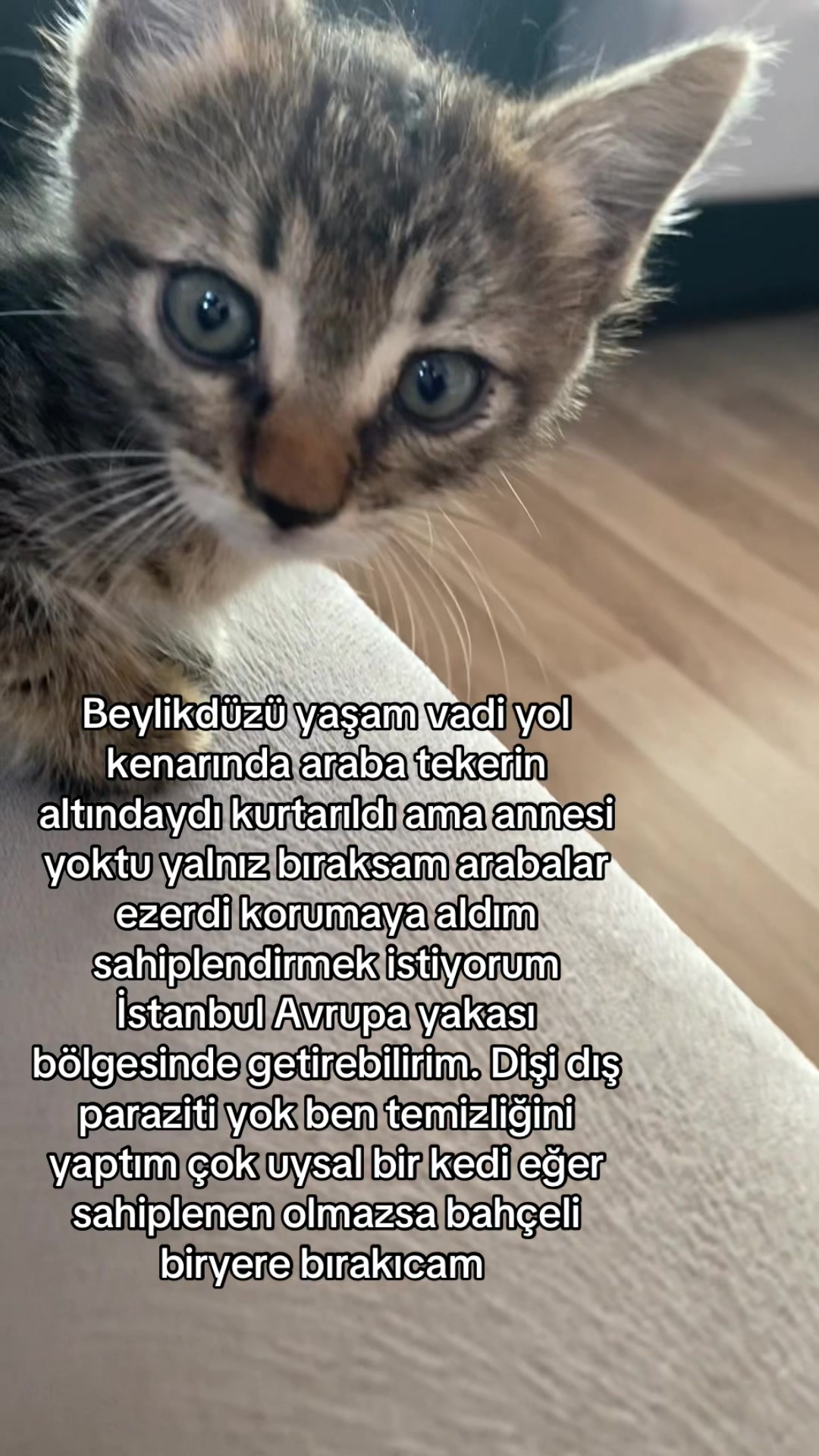 @yudummz_