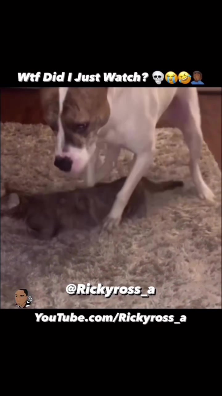 @Rickyross_a