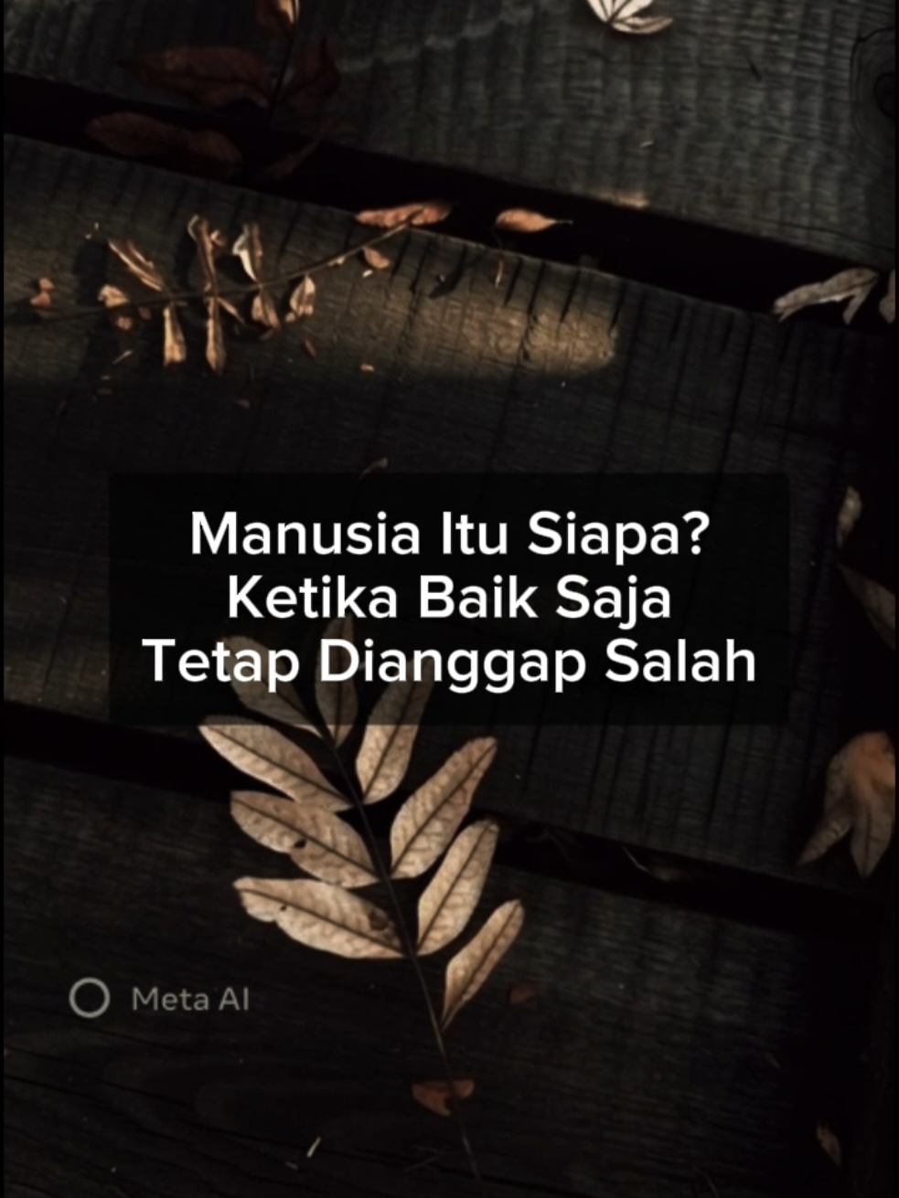 @sovia.au