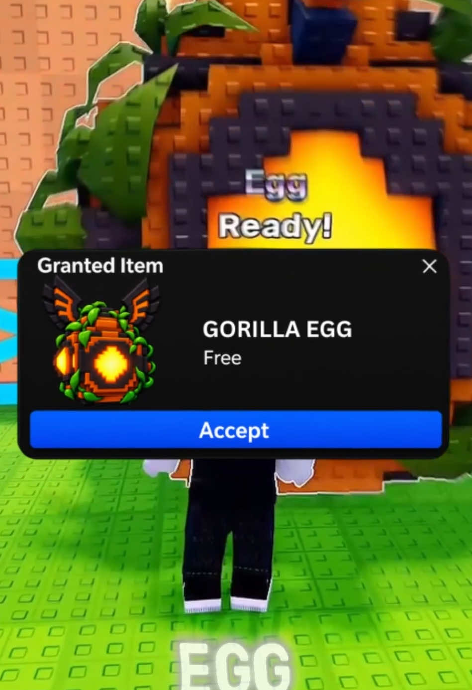 @ʟɪɴᴋ ɪɴ ʙɪᴏ