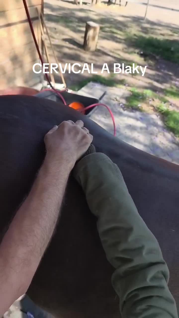 @centrointegralchakra