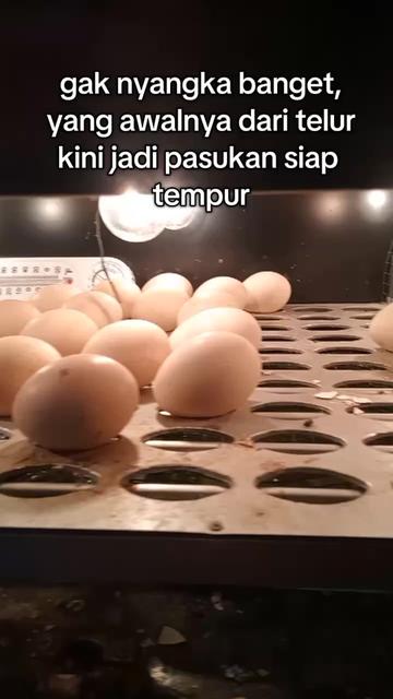 @mediykfarm