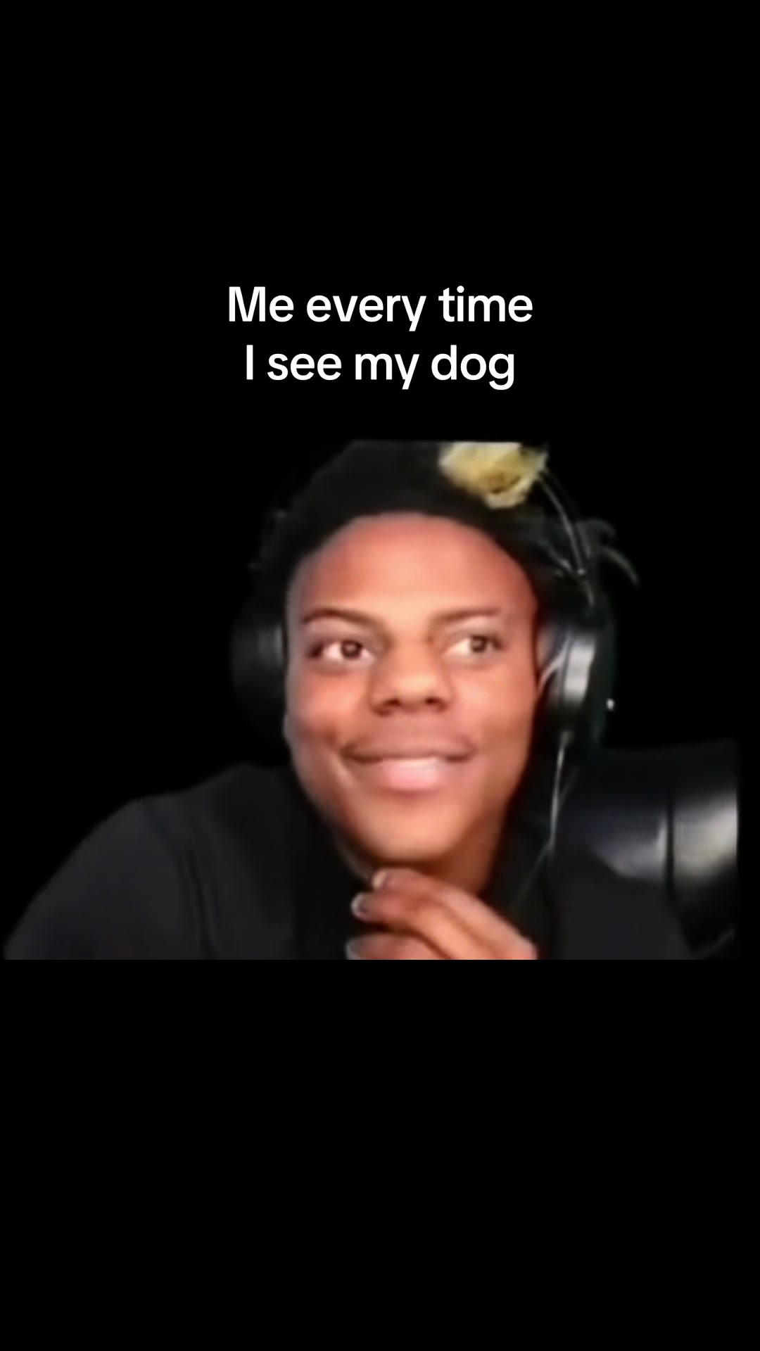 @🕸️ ⎊ ϟ Alfie ϟ ⎊🕸️