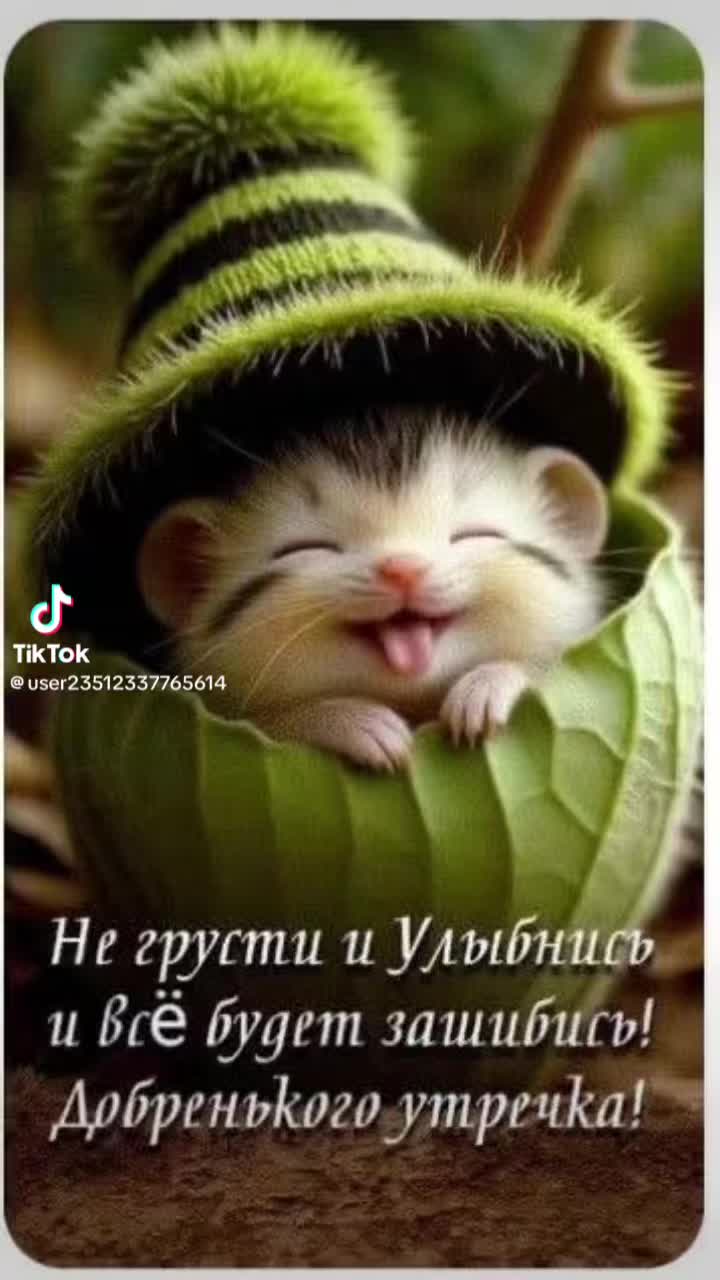 @@jjosecaracoluchades