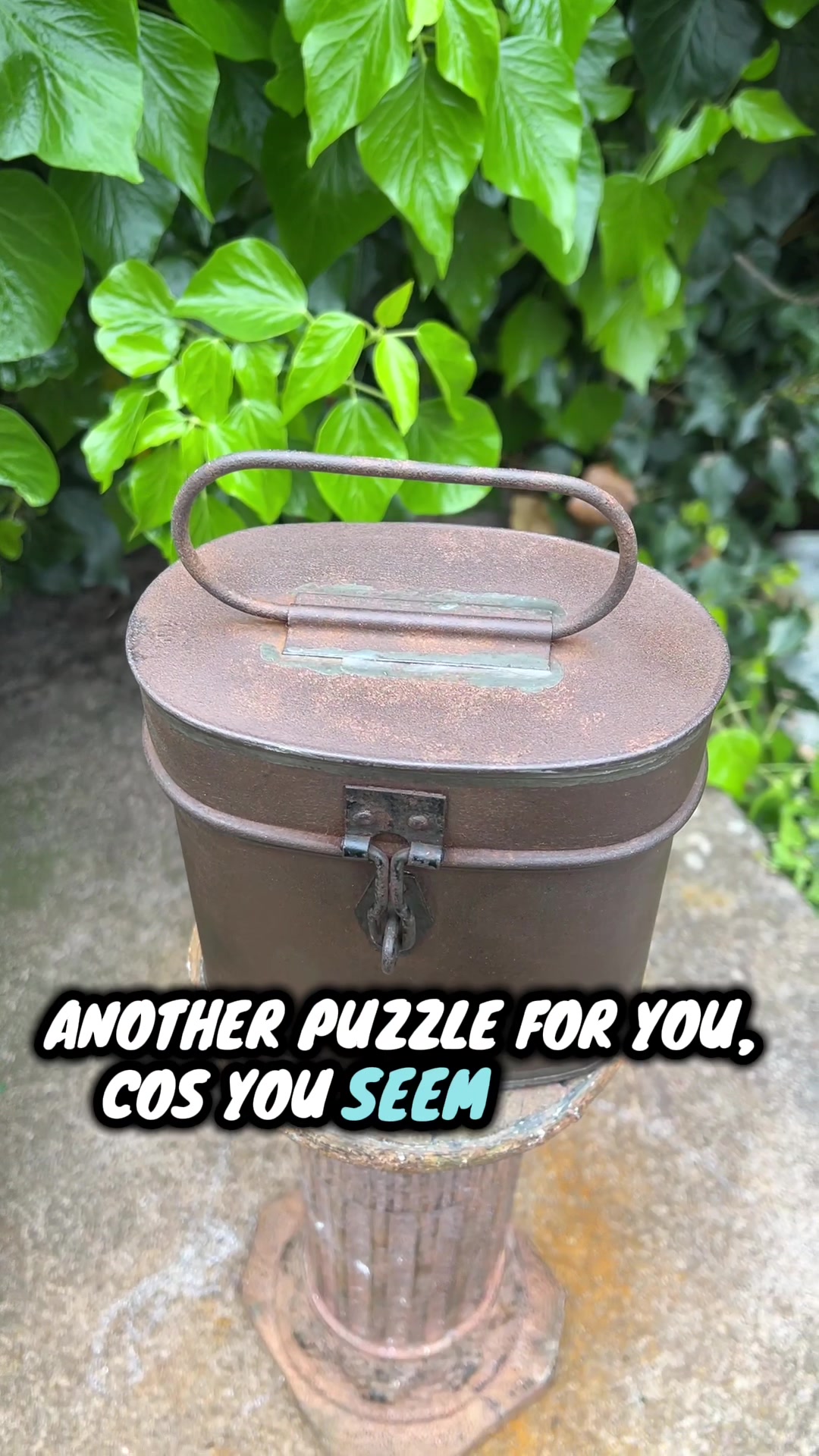 @Antique Curios