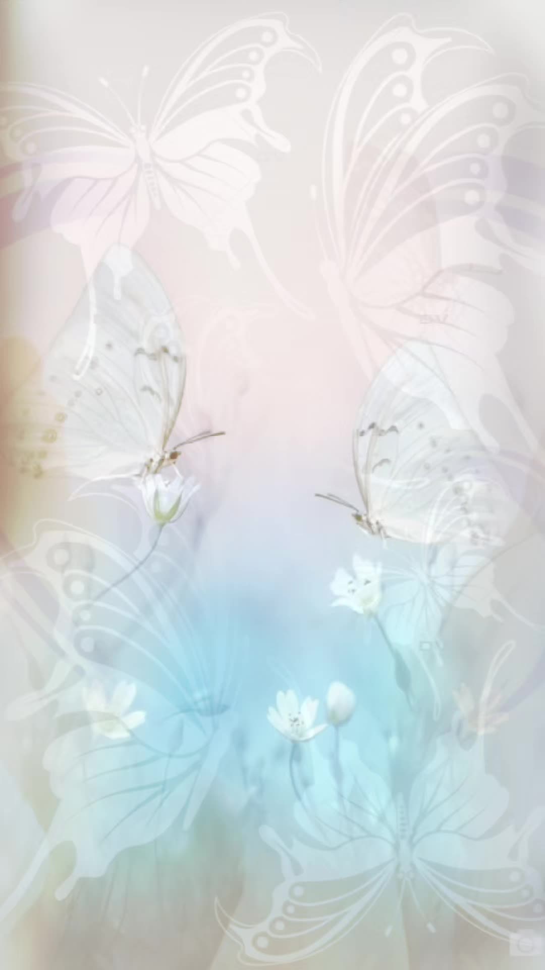 @๐ฆMa YaYa ๐ฐ๐งโ๏ธ๐๐