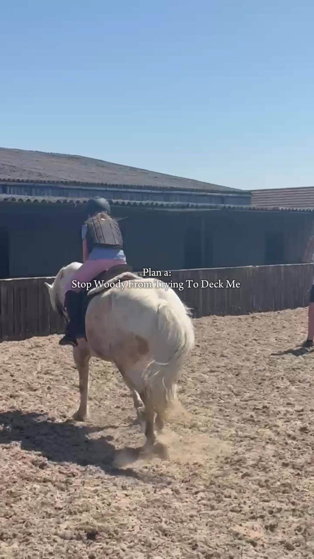 @LottiesHorseAdventures🦄🐴