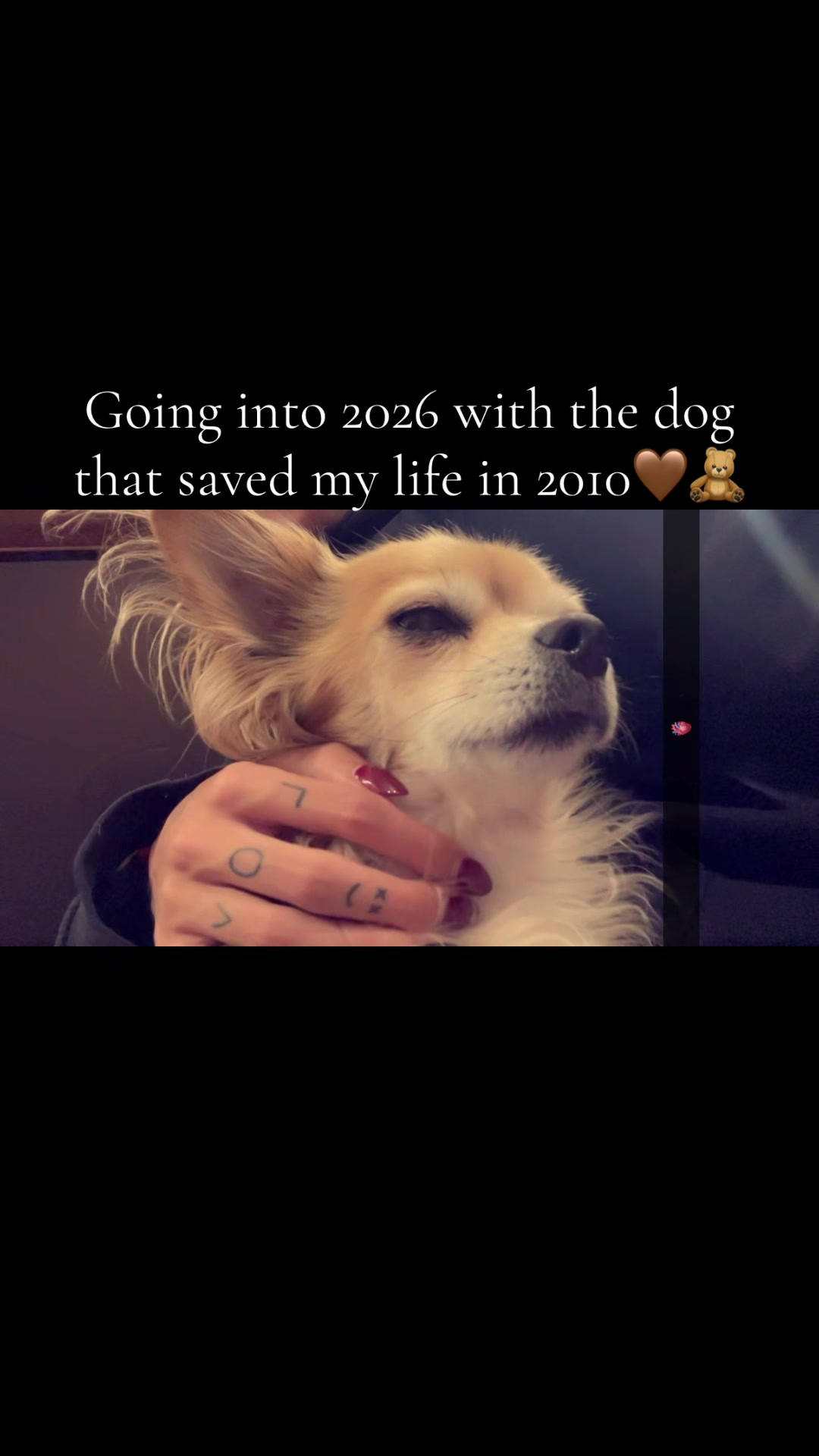 @Lisa🦘