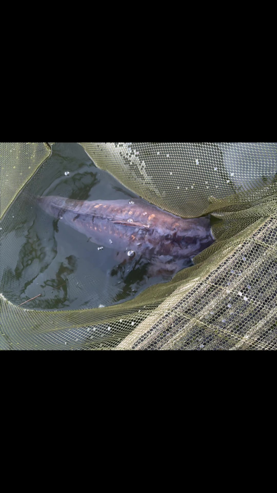@kennyyatescarpfishing