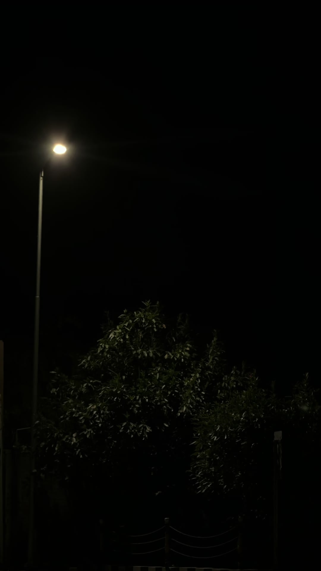 @𝙼𝐻