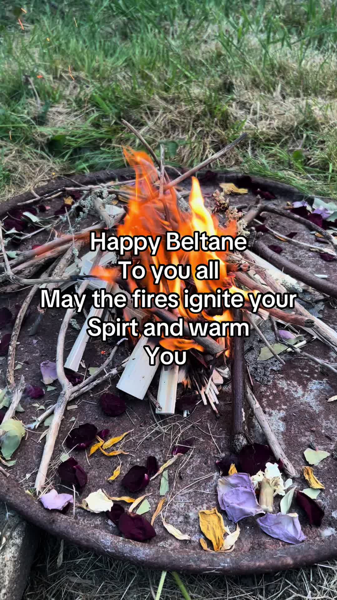@Bertie Green Witch