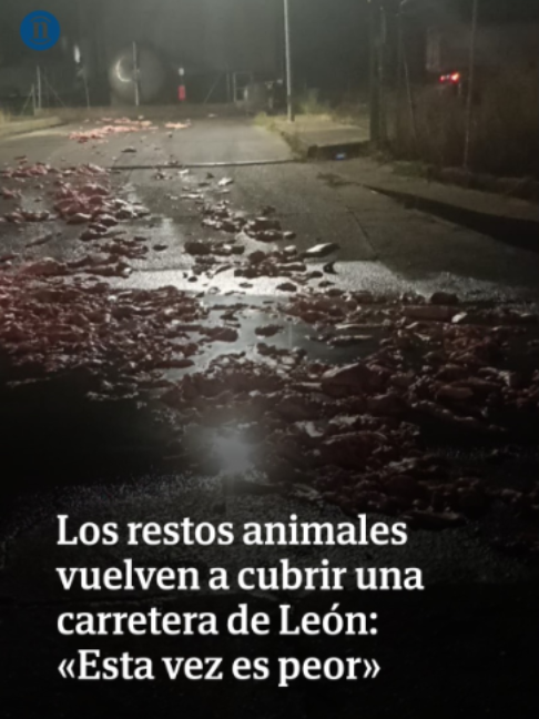 @leonoticias_