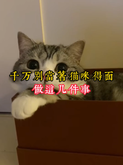 @catology