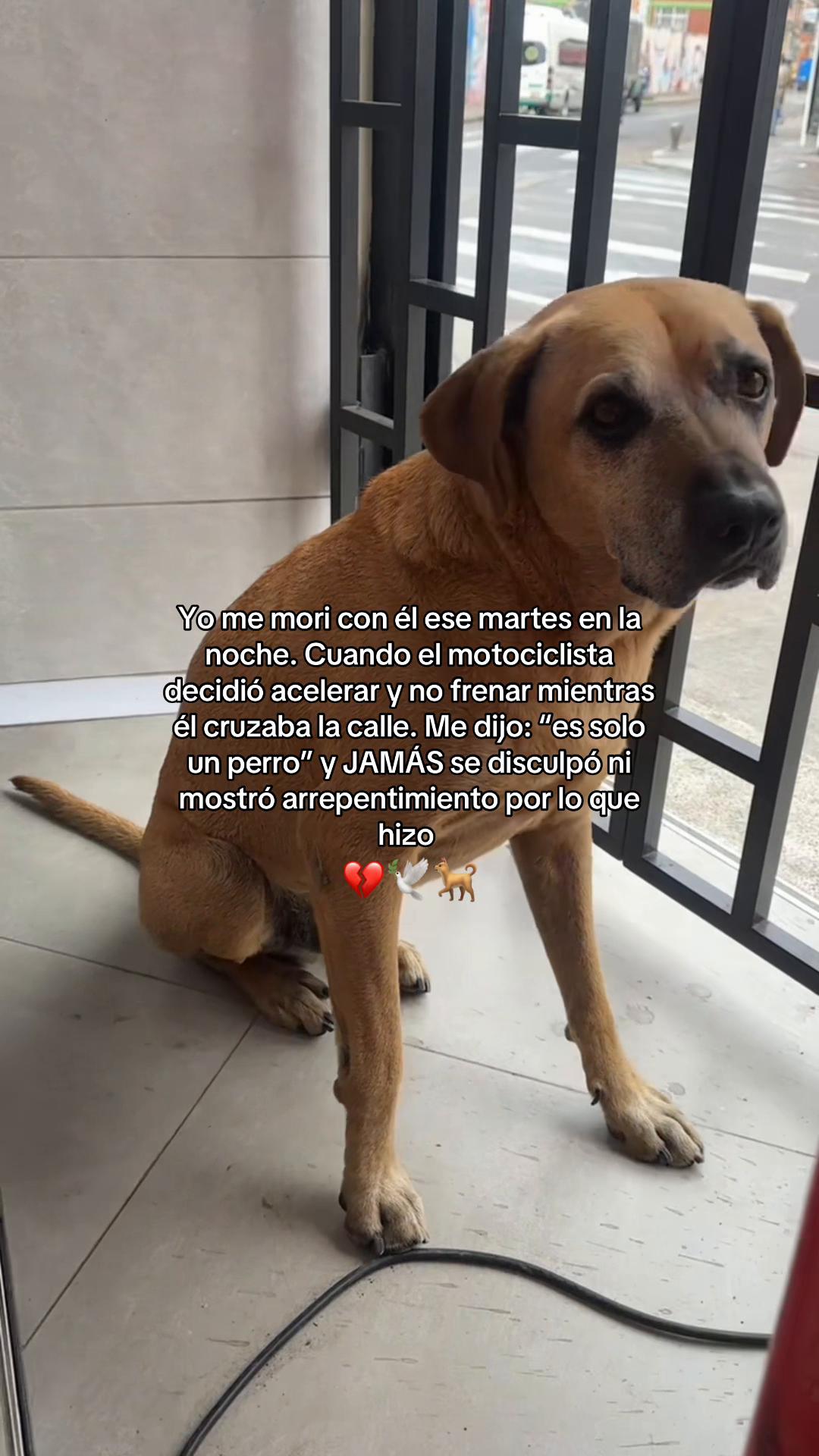 @_papita.priv_