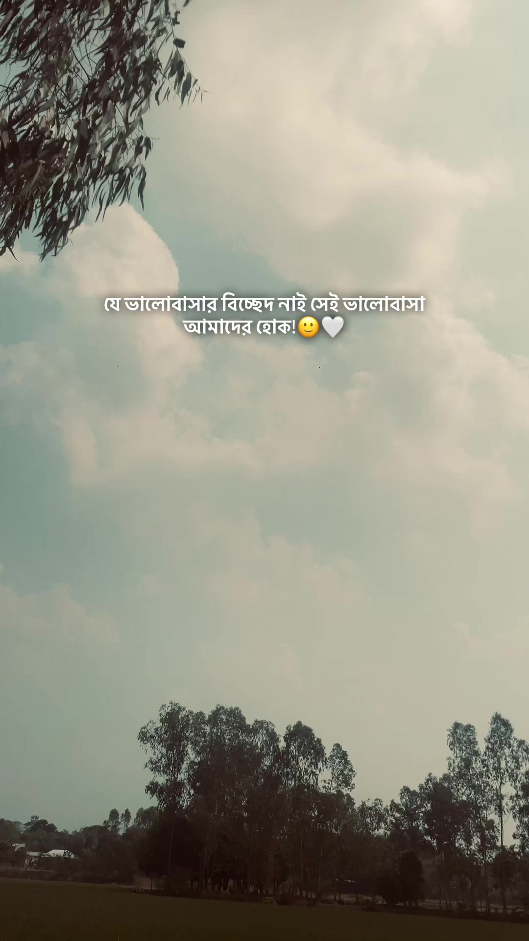 @Shahin Bhai