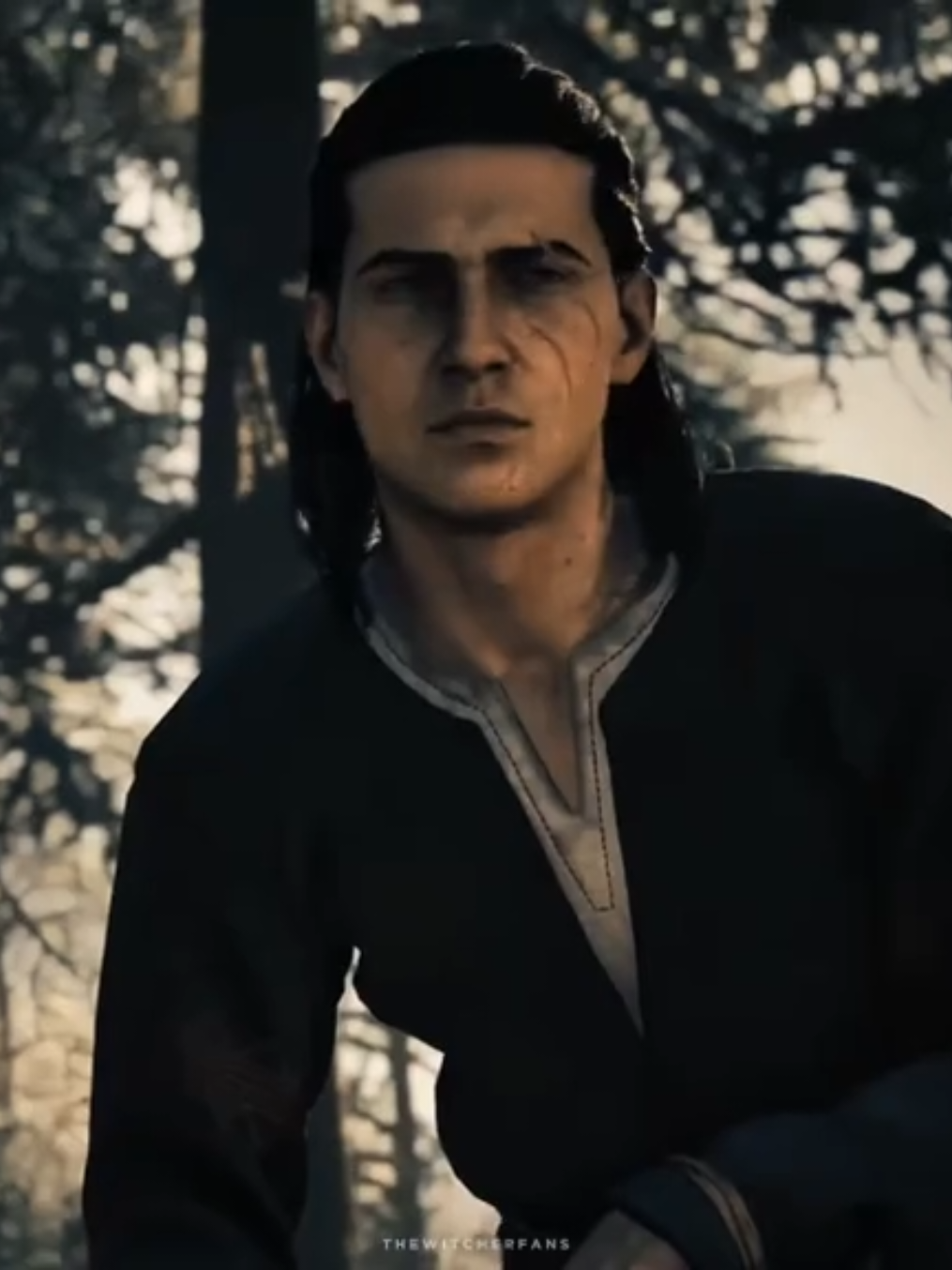 @The Witcher