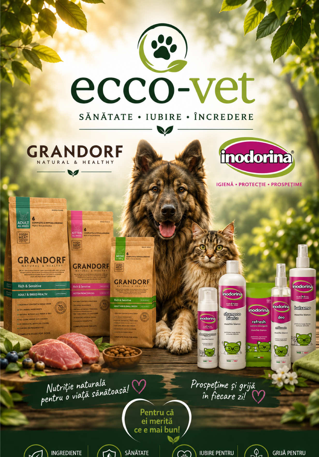 @Ecco-Vet by Dr. Diana Oprea
