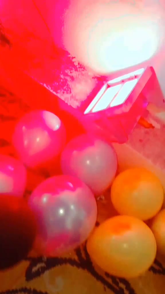 @𝙅𝙖𝙡𝙋𝙖𝙧𝙞𝙊𝙛𝙛𝙞𝙘𝙞𝙖𝙡