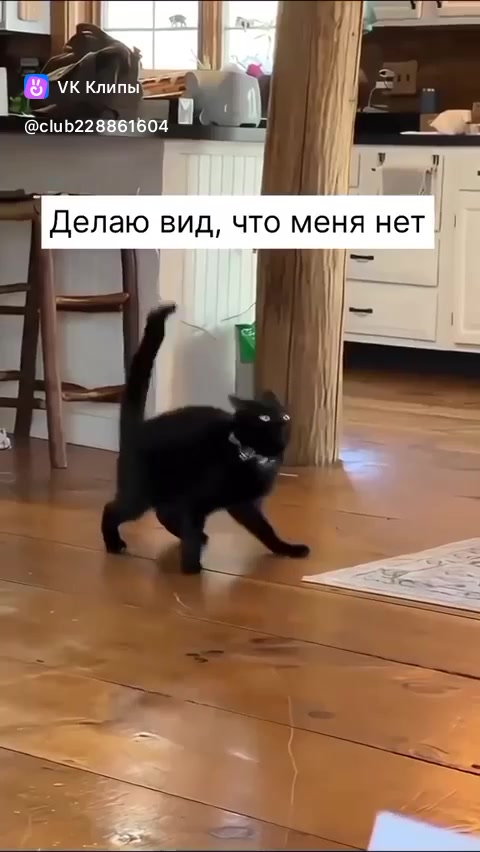 @#Andreevna62
