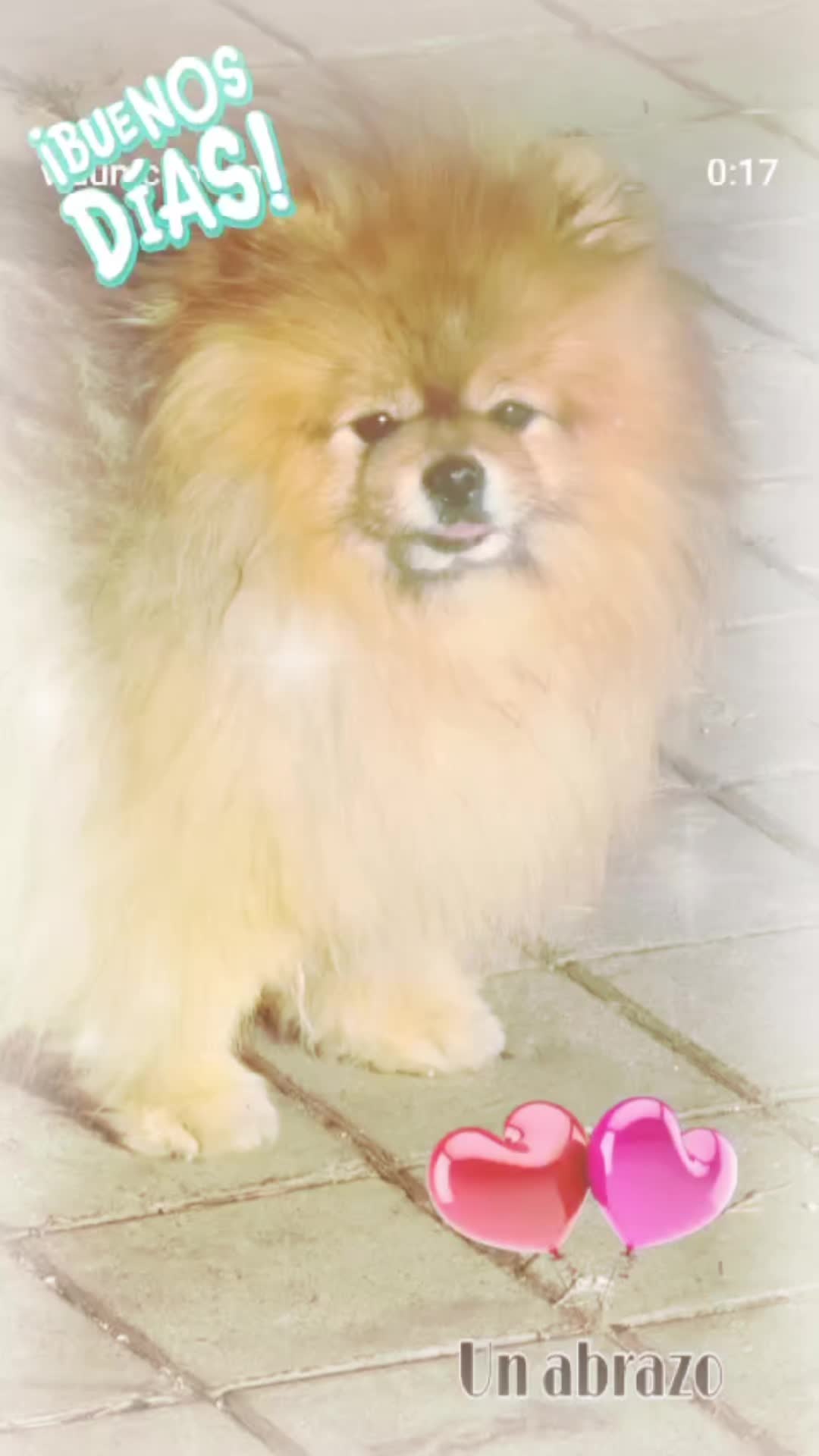 @Mimi 💞 Zokas