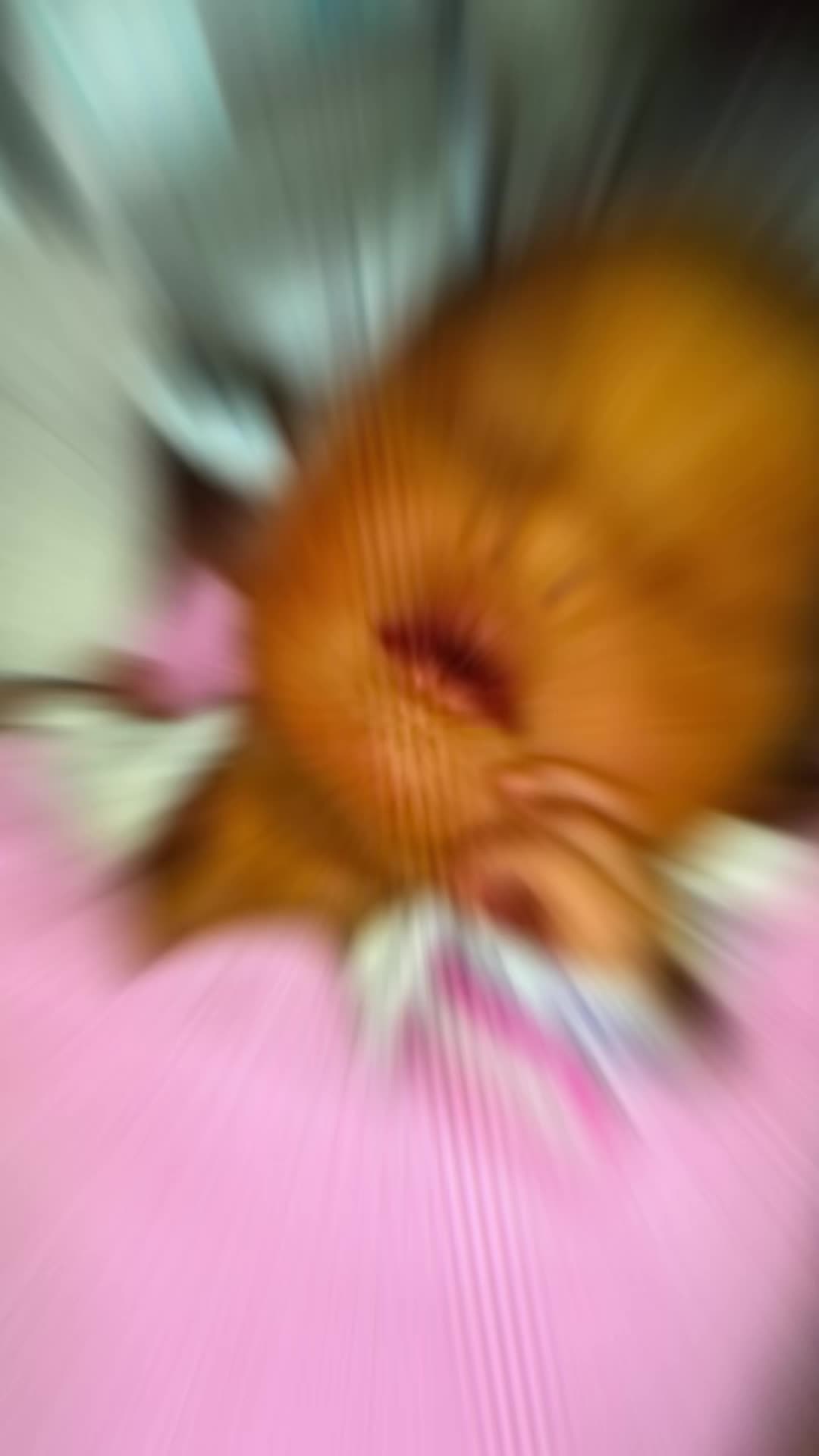 @Leena Varghese